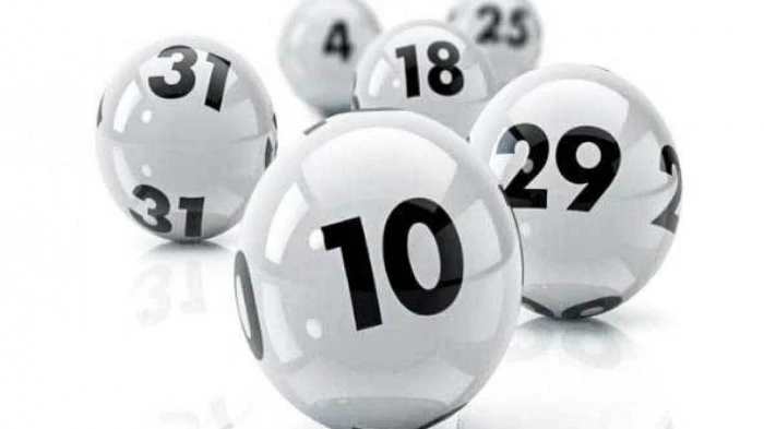 Khám Phá Thế Giới Đá Gà với bj88